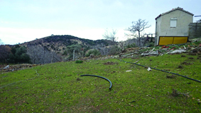 Quest Image