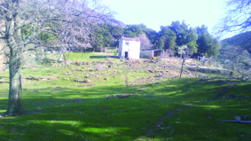 Quest Image