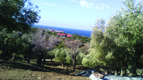 Quest Image