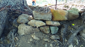 Quest Image