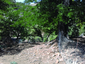 Quest Image