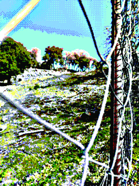 Quest Image