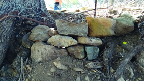 Quest Image