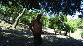 Quest Image