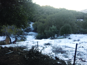 Quest Image