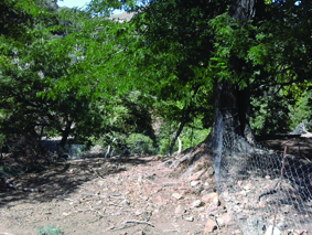 Quest Image