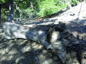 Quest Image