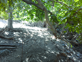 Quest Image