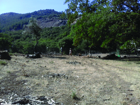 Quest Image