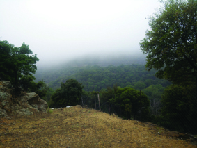 Quest Image