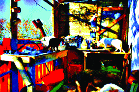 Quest Image