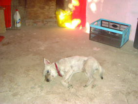 Quest Image