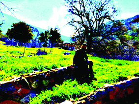 Ghani garden