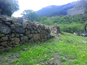 Quest Image