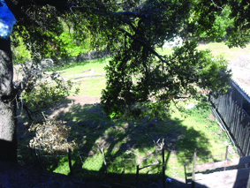 Quest Image