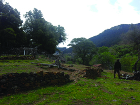 Quest Image