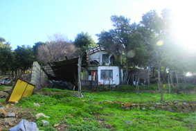 Quest Image