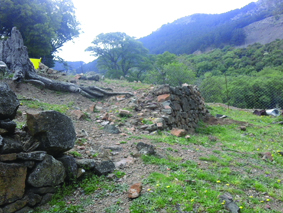 Quest Image