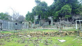Quest Image