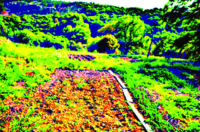 Quest Image