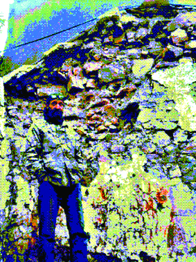 Quest Image