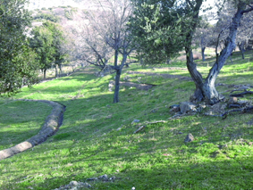Quest Image