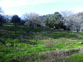 Quest Image