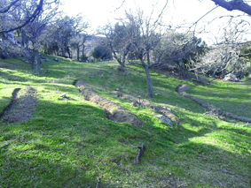 Quest Image