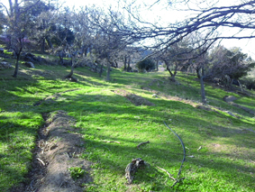 Quest Image