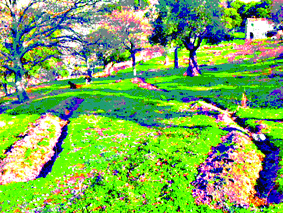The swale orchard