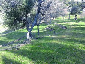 Quest Image