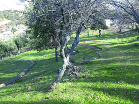 Quest Image