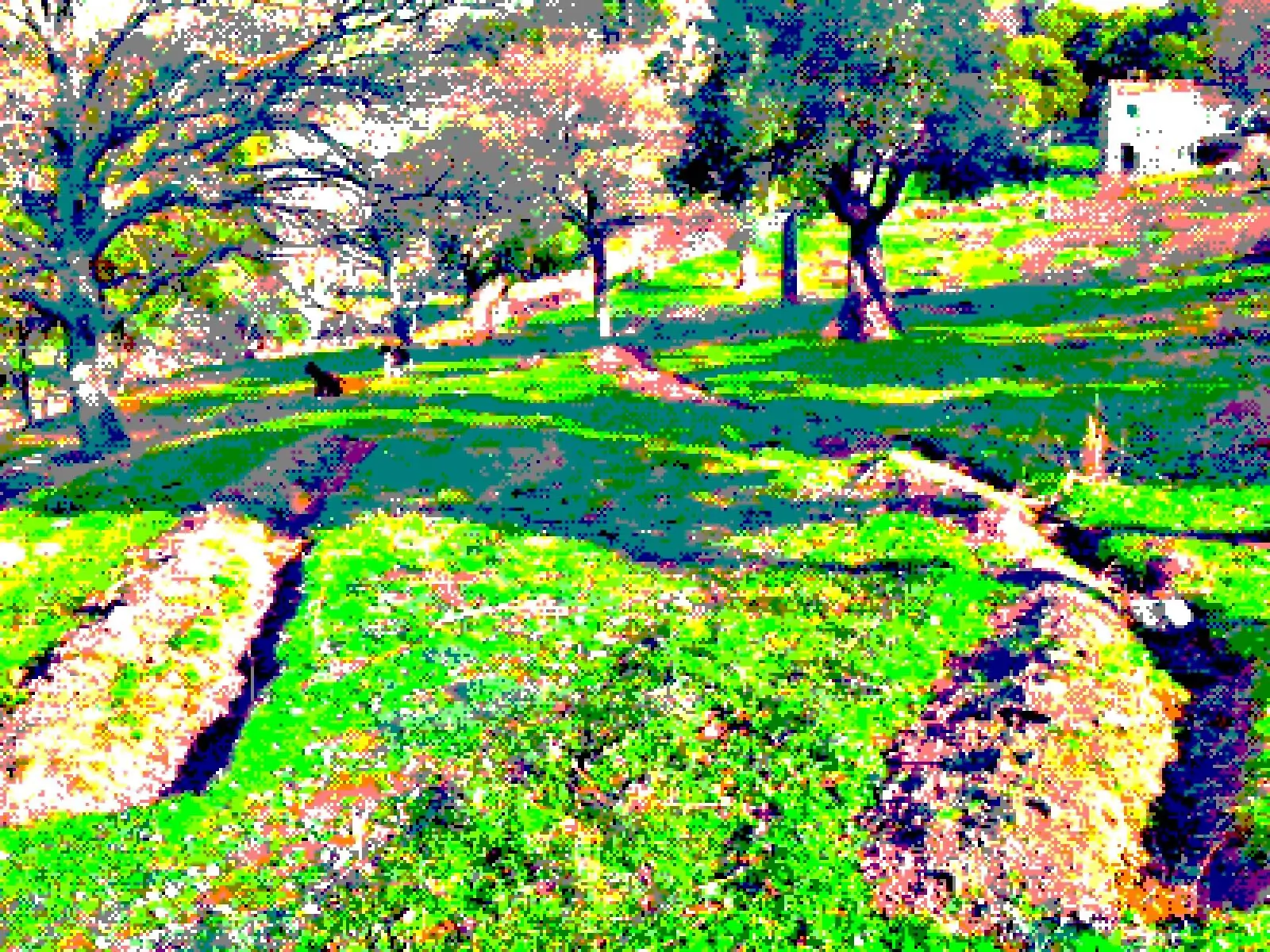 The swale orchard
