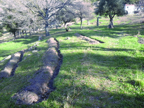 Quest Image
