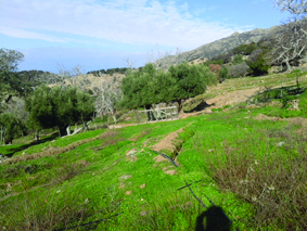Quest Image