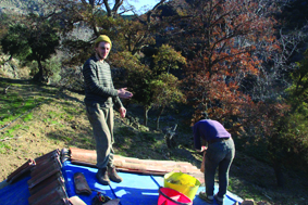 Quest Image