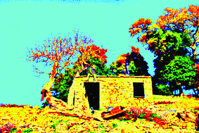 The unicorn house