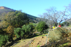 Quest Image