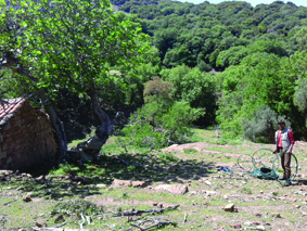 Quest Image