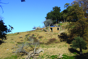 Quest Image
