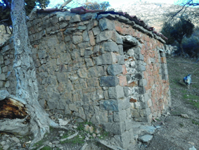 Quest Image