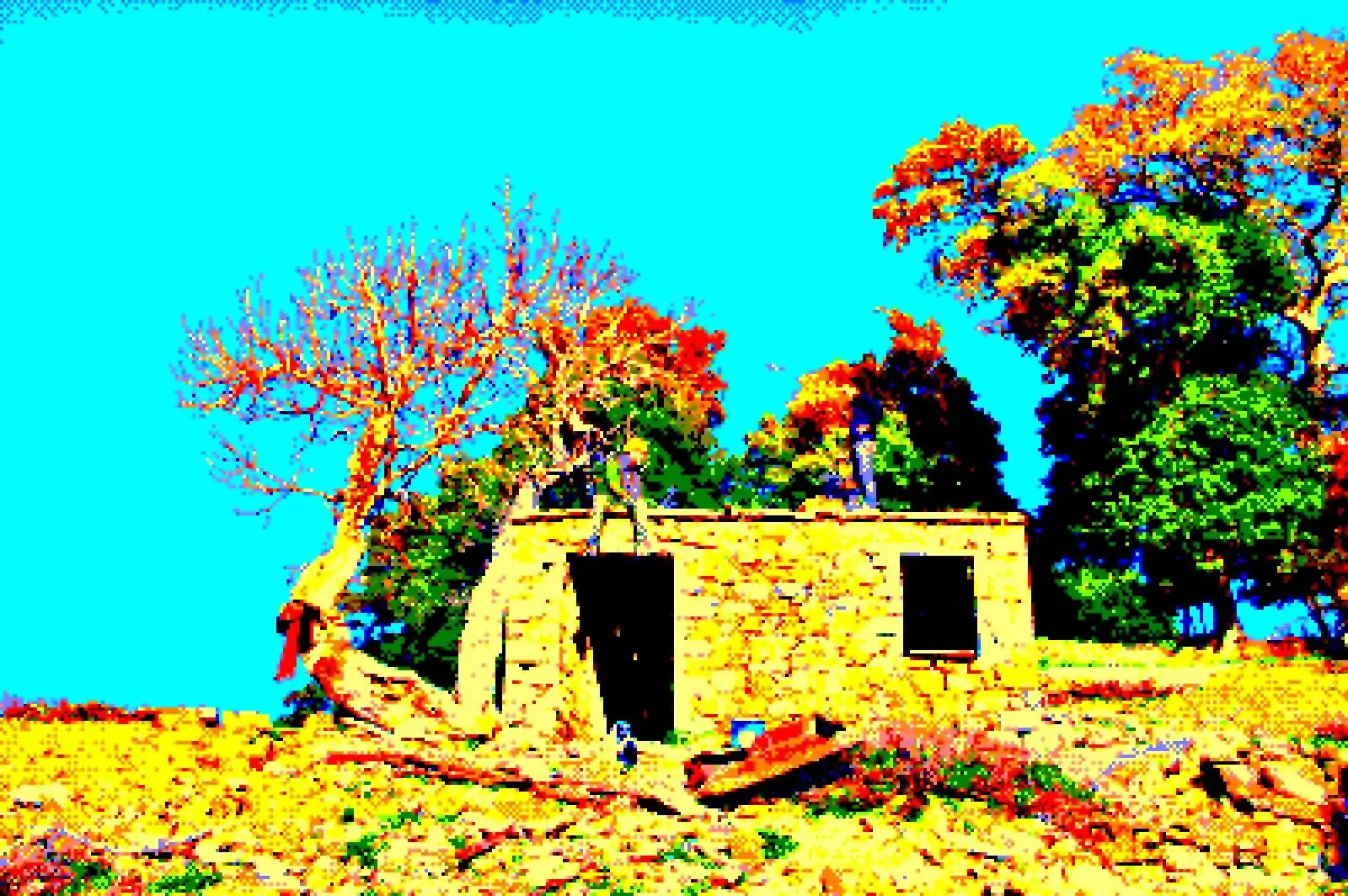 The unicorn house